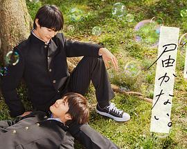 男明星吃瓜爆料网站